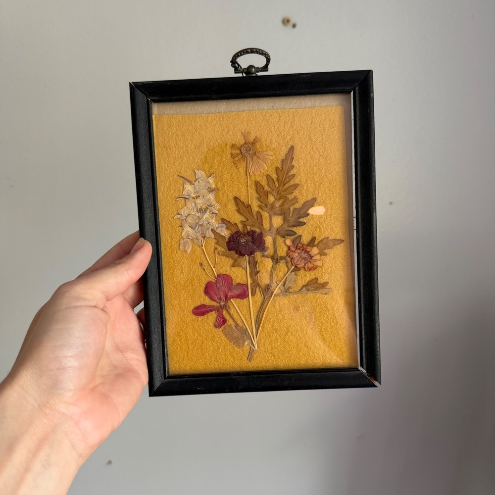 Vintage A Magee Product Framed Pressed Dried Flower Art 5x7 Mustard Yellow Black